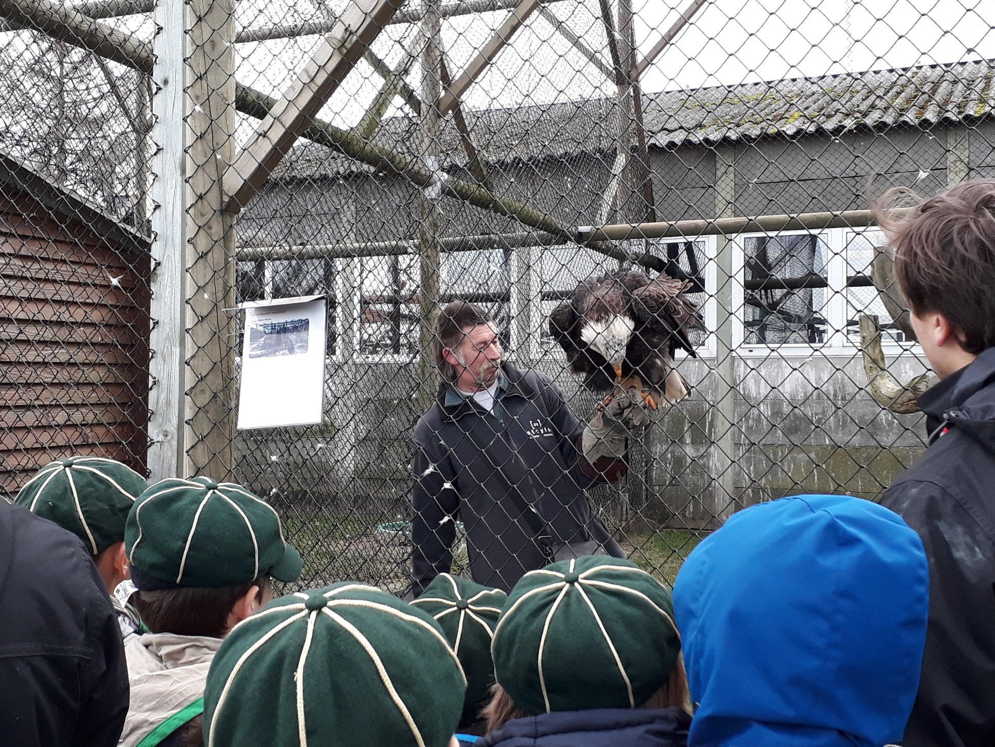 Sint-Martinus den XIIde - Roofvogelactiviteit WHV